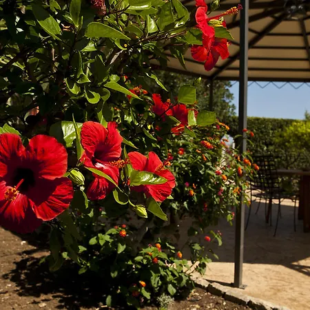 7cento Ulivi Valderice