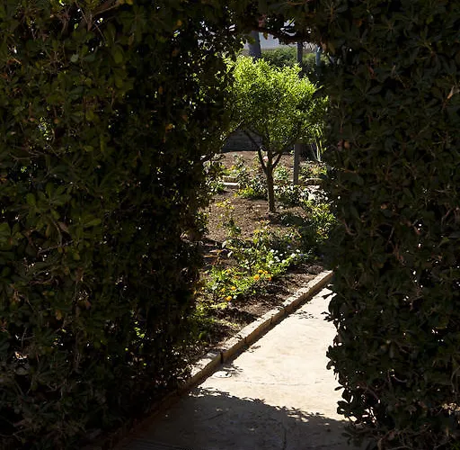 Bed and breakfast 7cento Ulivi Valderice