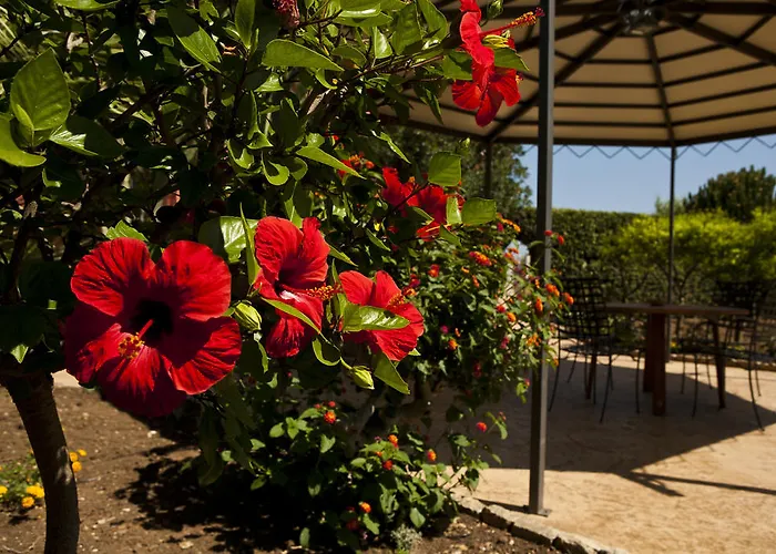 7cento Ulivi Valderice