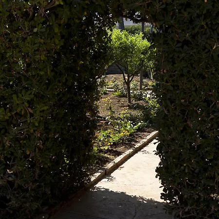 Bed & Breakfast 7cento Ulivi Valderice